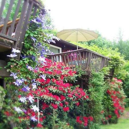 Misty Valley Inn-2